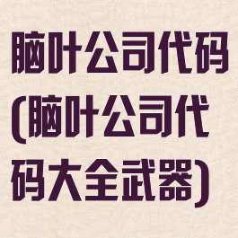 脑叶公司代码(脑叶公司代码大全武器)