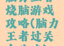 脑力王者烧脑游戏攻略(脑力王者过关全攻略)