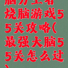 脑力王者烧脑游戏55关攻略(最强大脑55关怎么过)