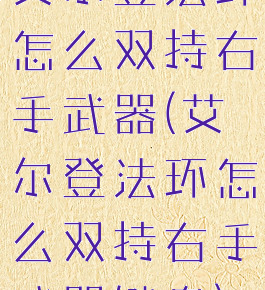 艾尔登法环怎么双持右手武器(艾尔登法环怎么双持右手武器键盘)