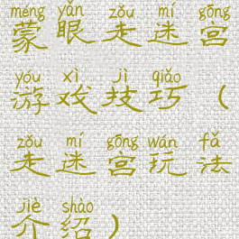 蒙眼走迷宫游戏技巧(走迷宫玩法介绍)