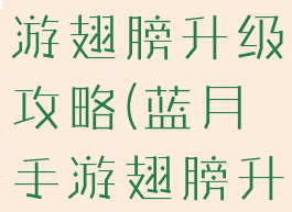 蓝月传奇手游翅膀升级攻略(蓝月手游翅膀升级数据)