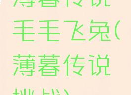 薄暮传说毛毛飞兔(薄暮传说挑战)