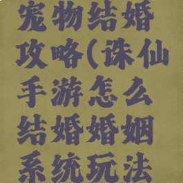 诛仙手游宠物结婚攻略(诛仙手游怎么结婚婚姻系统玩法介绍)