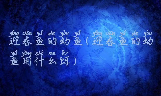 迎春鱼的幼鱼(迎春鱼的幼鱼用什么饵)
