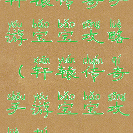 轩辕传奇手游宝宝攻略(轩辕传奇手游宝宝攻略图)