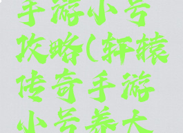 轩辕传奇手游小号攻略(轩辕传奇手游小号养大号)