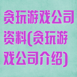 贪玩游戏公司资料(贪玩游戏公司介绍)