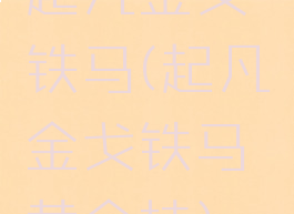 起凡金戈铁马(起凡金戈铁马黄金挂)