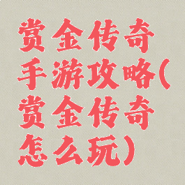 赏金传奇手游攻略(赏金传奇怎么玩)