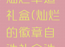 赛利亚的灿烂幸运礼盒(灿烂的徽章自选礼盒选什么)