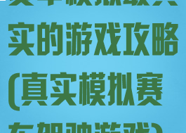 赛车模拟最真实的游戏攻略(真实模拟赛车驾驶游戏)