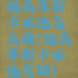 逃离库斯卡水池怎么接(逃离库斯卡水池奖励)