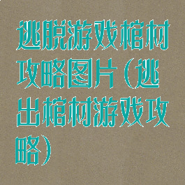逃脱游戏棺材攻略图片(逃出棺材游戏攻略)