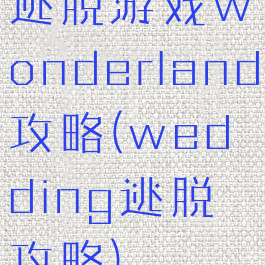 逃脱游戏wonderland攻略(wedding逃脱攻略)