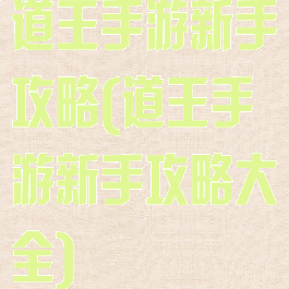 道王手游新手攻略(道王手游新手攻略大全)