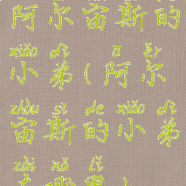 阿尔宙斯的小弟(阿尔宙斯的小弟在哪里)