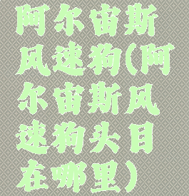 阿尔宙斯风速狗(阿尔宙斯风速狗头目在哪里)
