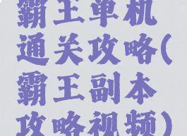 霸王单机通关攻略(霸王副本攻略视频)