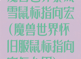 魔兽世界暴风雪鼠标指向宏(魔兽世界怀旧服鼠标指向宏怎么用)