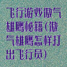 飞行游戏傲气雄鹰秘籍(傲气雄鹰怎样打出飞行员)
