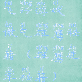 飞行游戏傲气雄鹰秘籍(雄鹰进军秘籍)