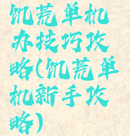 饥荒单机办技巧攻略(饥荒单机新手攻略)