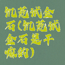 饥荒试金石(饥荒试金石是干嘛的)