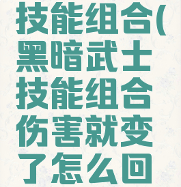 黑暗武士技能组合(黑暗武士技能组合伤害就变了怎么回事)