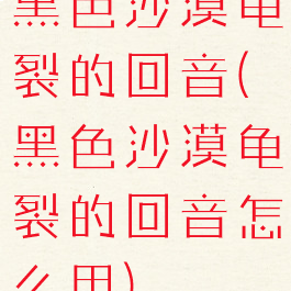 黑色沙漠龟裂的回音(黑色沙漠龟裂的回音怎么用)