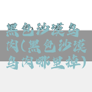 黑色沙漠鸟肉(黑色沙漠鸟肉哪里掉)