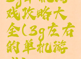 3g单机游戏攻略大全(3g左右的单机游戏)