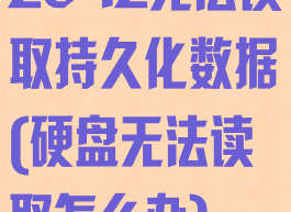 2042无法读取持久化数据(硬盘无法读取怎么办)