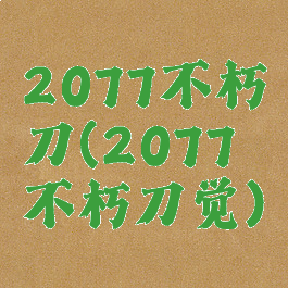 2077不朽刀(2077不朽刀觉)