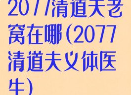 2077清道夫老窝在哪(2077清道夫义体医生)