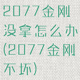 2077金刚没拿怎么办(2077金刚不坏)