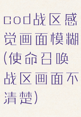 cod战区感觉画面模糊(使命召唤战区画面不清楚)