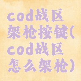 cod战区架枪按键(cod战区怎么架枪)