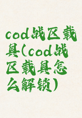 cod战区载具(cod战区载具怎么解锁)