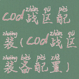 cod战区配装(cod战区装备配置)
