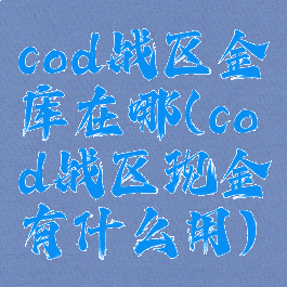 cod战区金库在哪(cod战区现金有什么用)