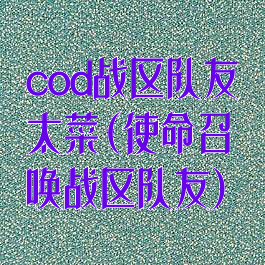 cod战区队友太菜(使命召唤战区队友)