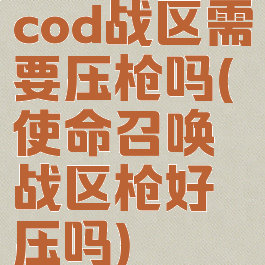 cod战区需要压枪吗(使命召唤战区枪好压吗)