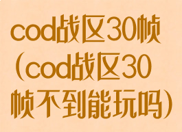 cod战区30帧(cod战区30帧不到能玩吗)