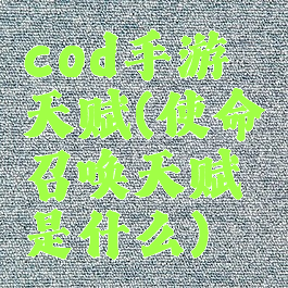 cod手游天赋(使命召唤天赋是什么)