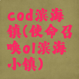 cod滨海镇(使命召唤ol滨海小镇)