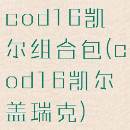 cod16凯尔组合包(cod16凯尔盖瑞克)