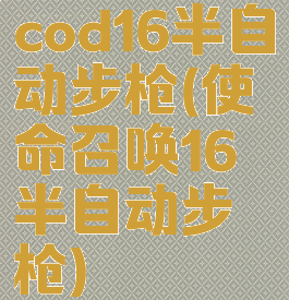 cod16半自动步枪(使命召唤16半自动步枪)