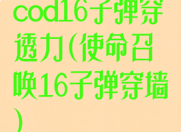 cod16子弹穿透力(使命召唤16子弹穿墙)