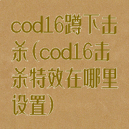 cod16蹲下击杀(cod16击杀特效在哪里设置)